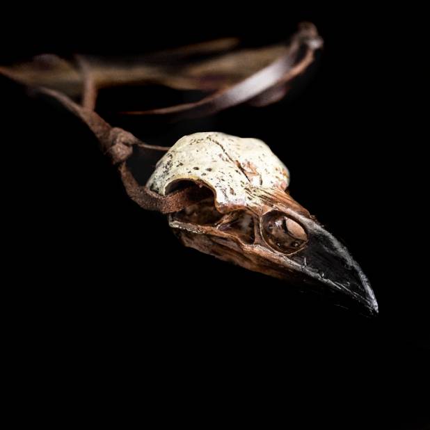 Raven Skull with Leather Cord Viking Necklace - Image 3